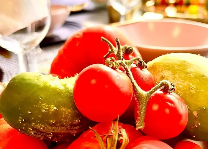 Apartment Center, New Design