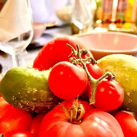 Apartamento Center, New Design