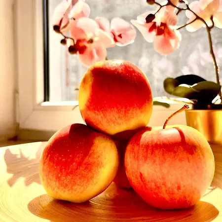 Lägenhet Center, New Design Warszawa